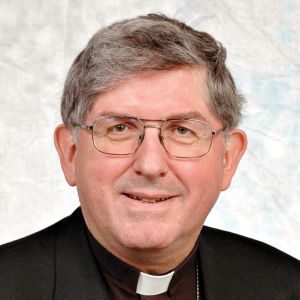 Cardinal Collins 2