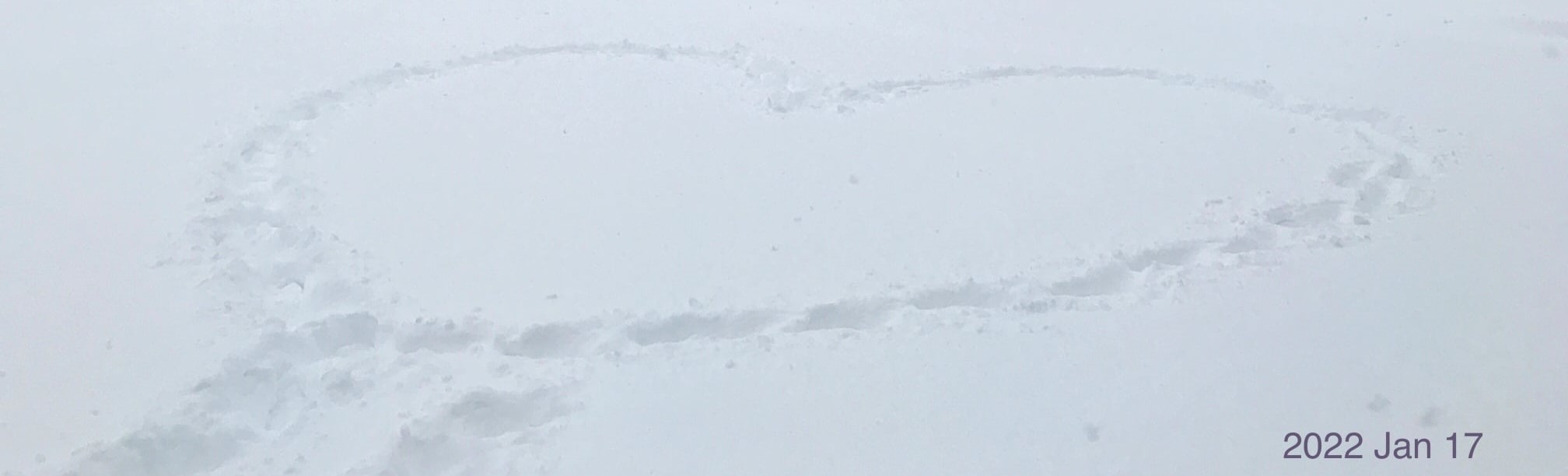heart on snow